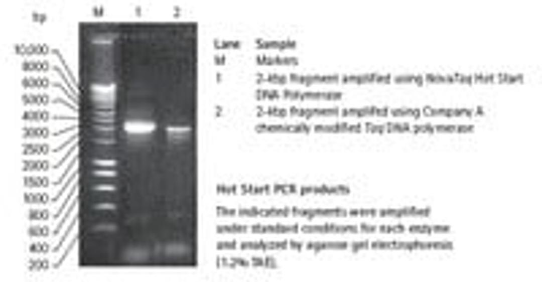 NovaTaq™ Hot Start DNA Polymerase - Merck KGaA, Darmstadt, Germany - Life Sciences