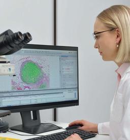 NIS-Elements Microscopy Software - Nikon Healthcare Business – Microscope Solutions - Life Sciences