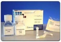 HitKit® HCS Reagent Kit for NFkB Activation - null