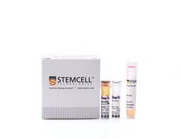 EasySep™ Mouse Naïve CD8+ T Cell Isolation Kit - STEMCELL Technologies Inc. - Life Sciences