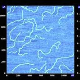 DNA Test Sample - K-TEK Nanotechnology - Life Sciences
