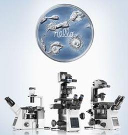 IX3 Series - Intuitive & open source Microscope Systems - EVIDENT - Life Sciences