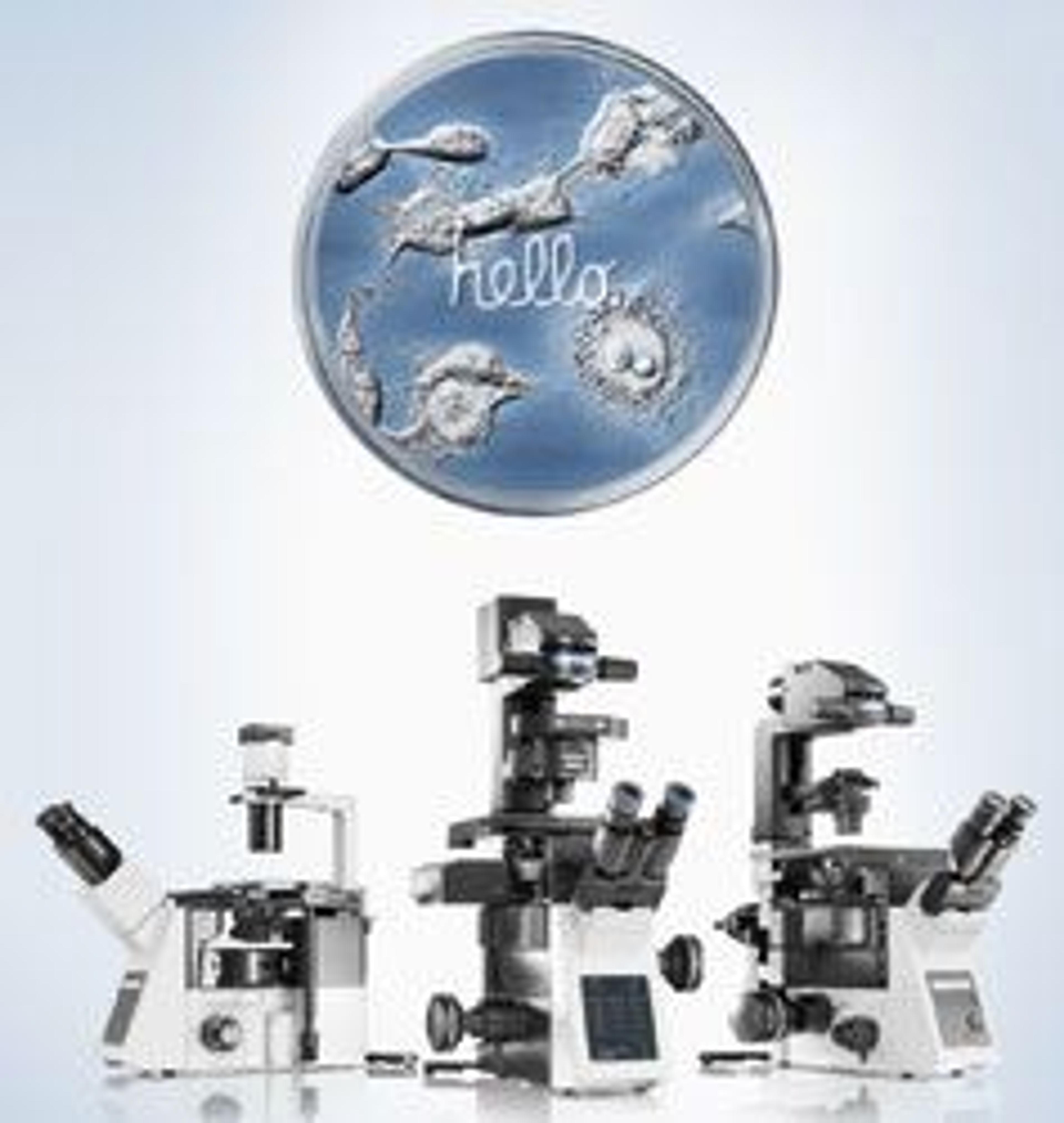 IX3 Series - Intuitive & open source Microscope Systems - EVIDENT - Life Sciences