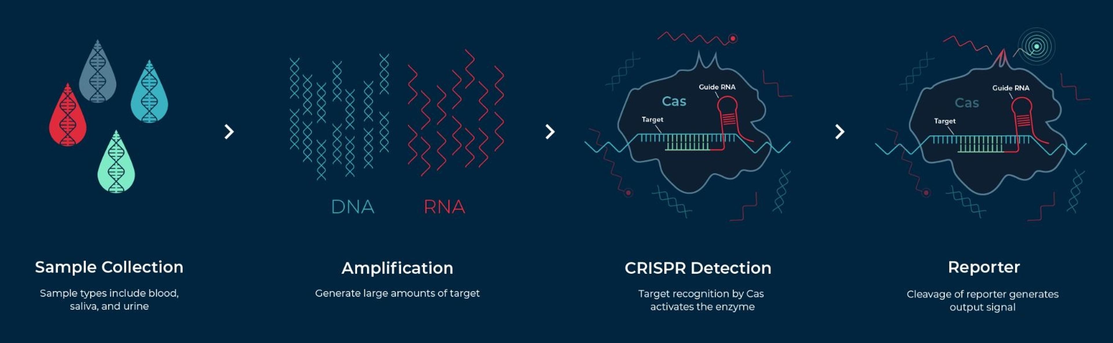 SHERLOCK™ - Sherlock Biosciences - Life Sciences