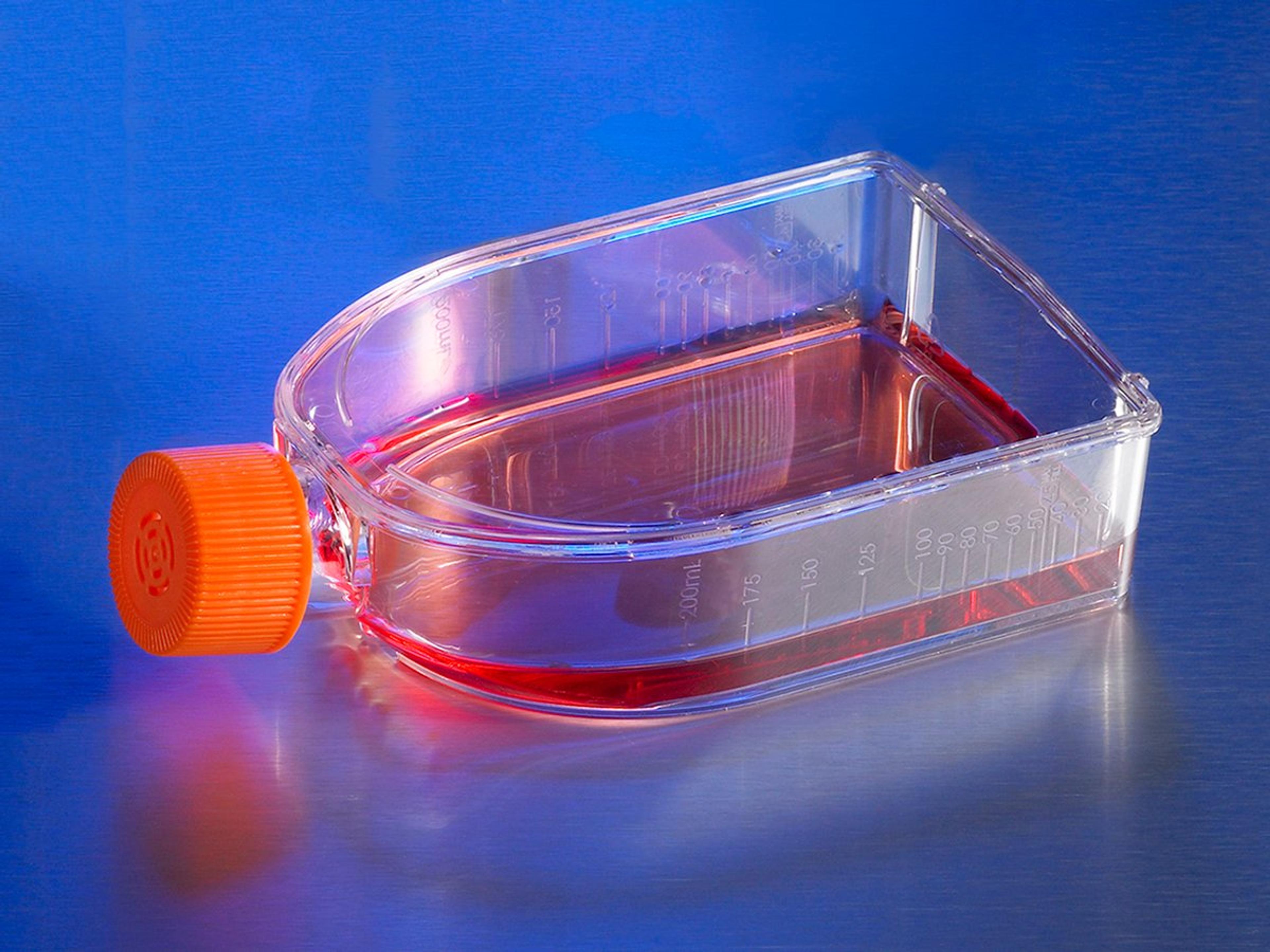 Corning® CellBIND® 75cm² U-Shaped Canted Neck Cell Culture Flask with Vent Cap - Corning Life Sciences - Life Sciences