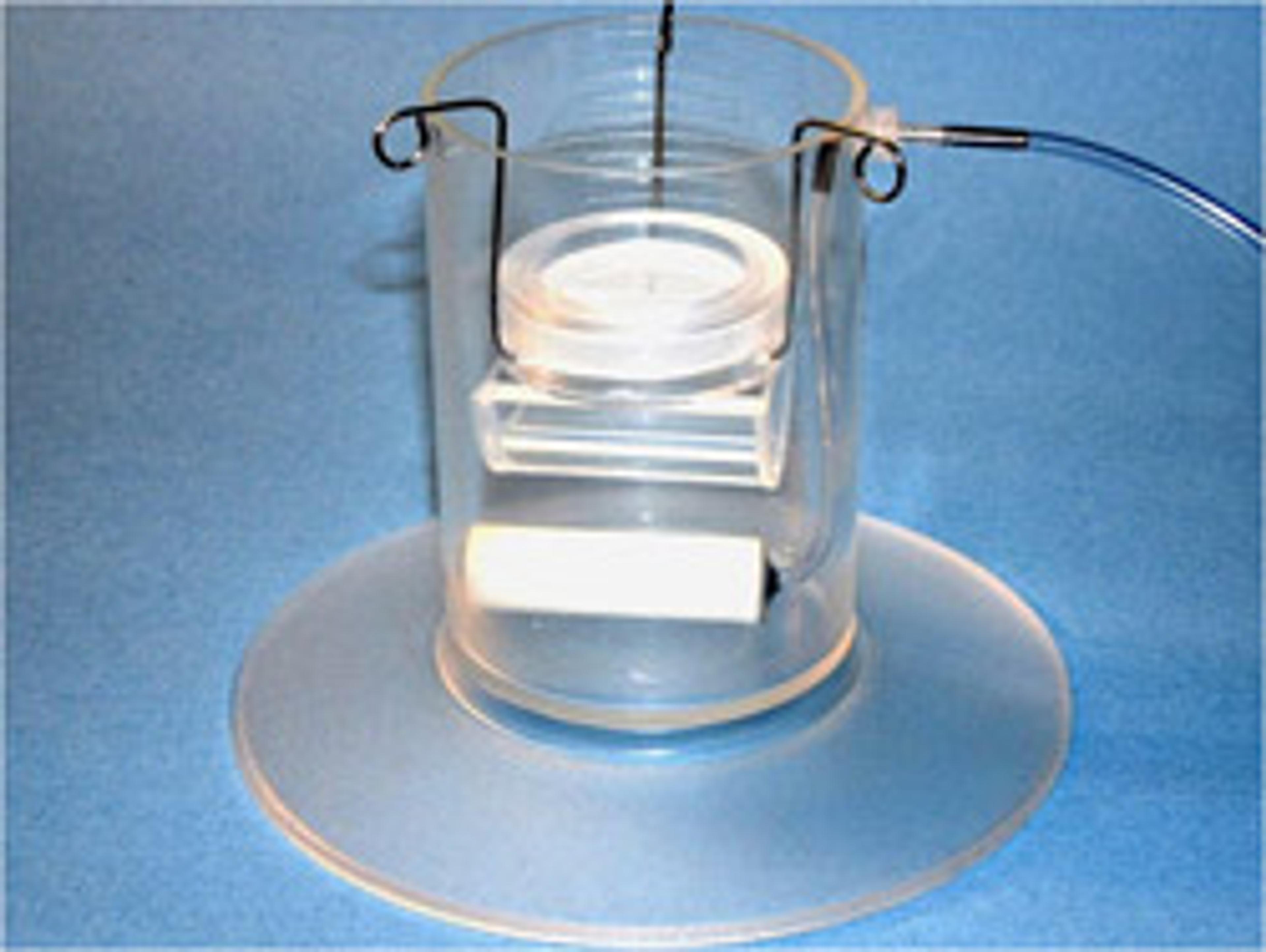 Brain Slice Keeper and Holder - AutoMate Scientific Inc. - Life Sciences