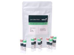 Cyto-Cellect®PLUS (Human IgG κ and λ Detection (AOF) Range) - Sphere Bio - Drug Discovery & Development
