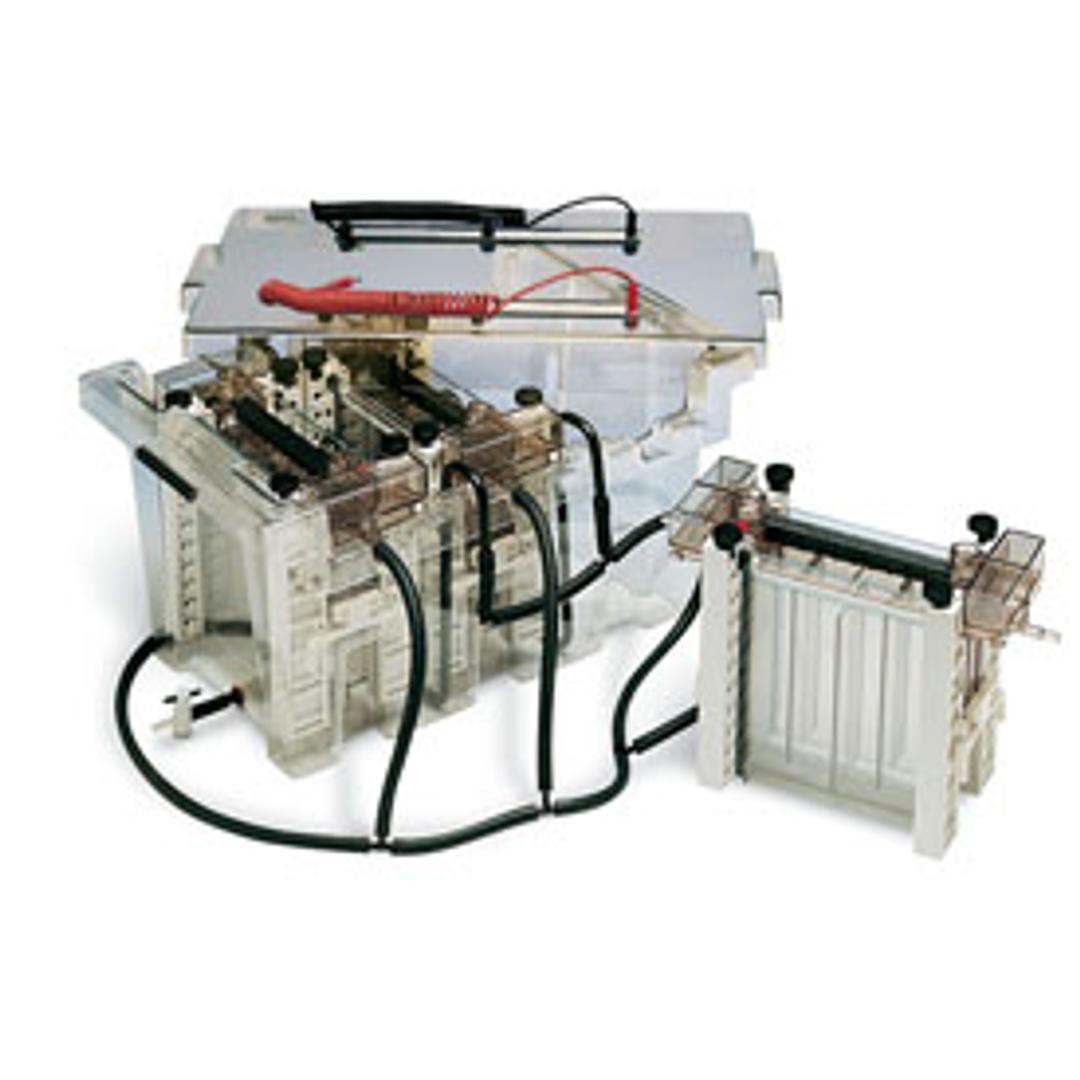 PROTEAN II XL Multi-Cell #1653178 - Bio-Rad - Life Sciences