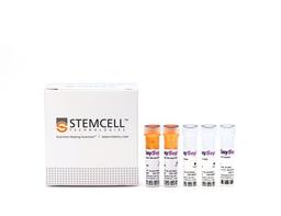EasySep™ Mouse Mesenchymal Stem/Progenitor Cell Enrichment Kit - STEMCELL Technologies Inc. - Life Sciences