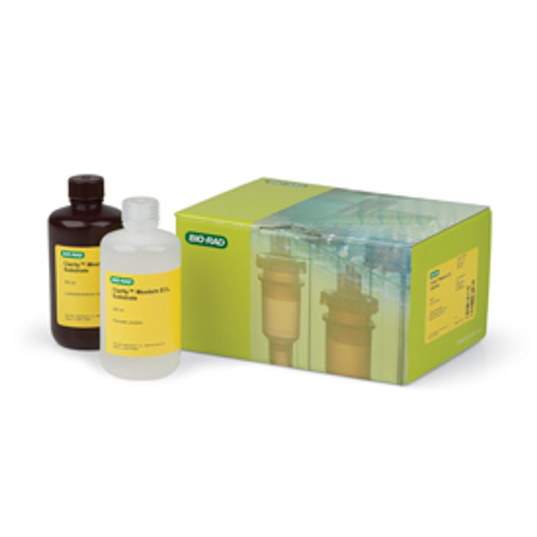 Clarity Western ECL Substrate, 500 ml - Bio-Rad - Life Sciences