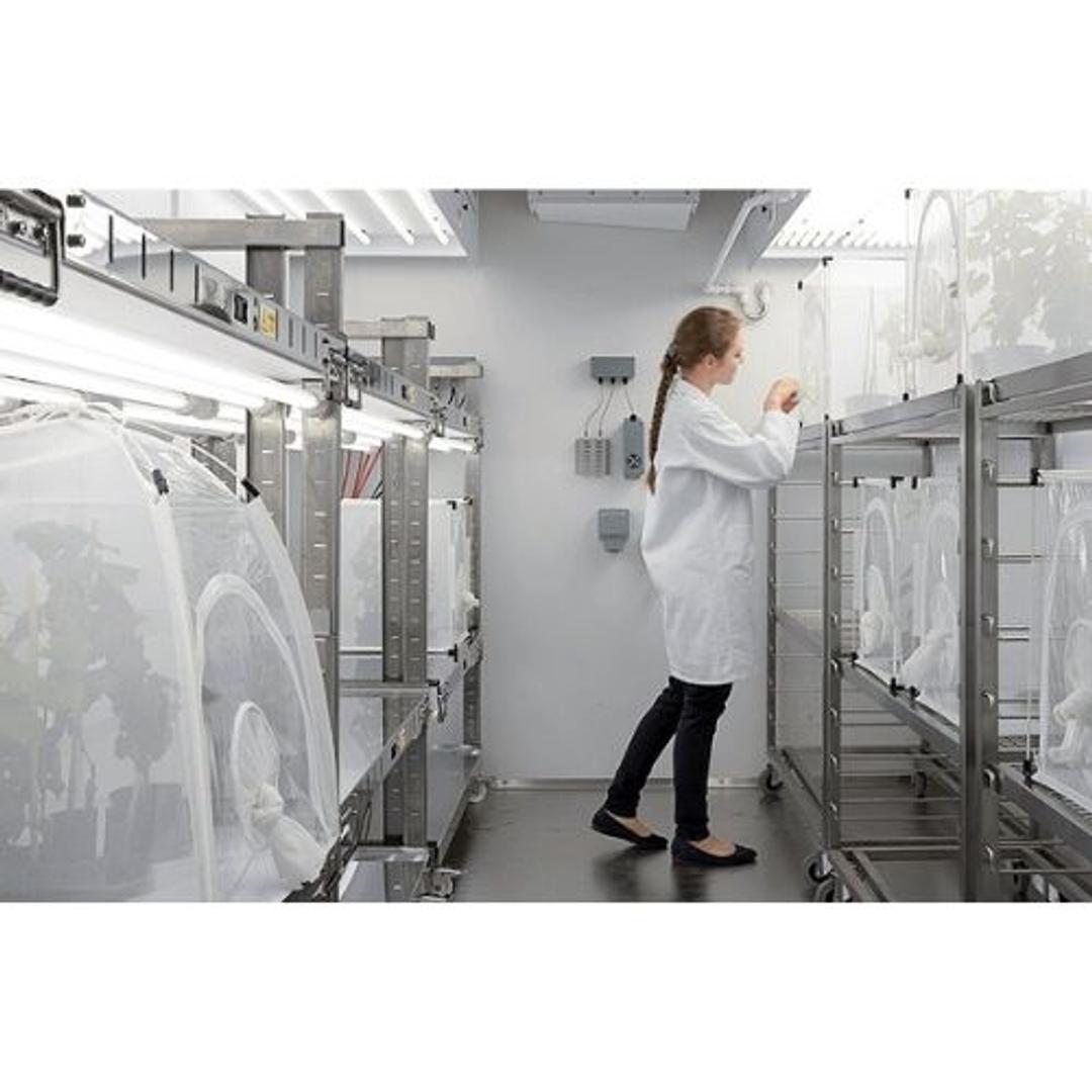 Fitotron® SGR Walk-In Climate Rooms for Plants and Insects - Weiss Technik UK Ltd. - General Lab