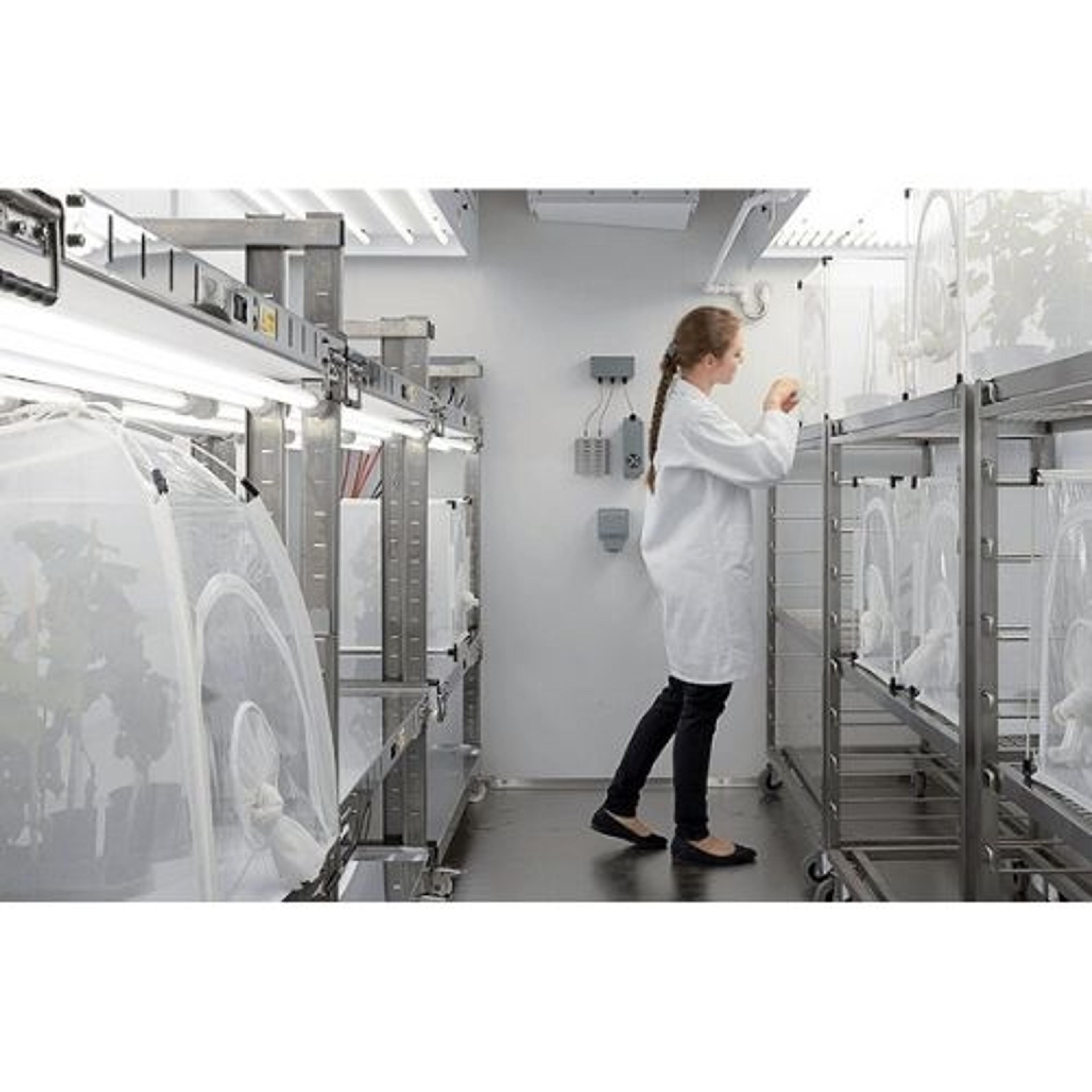 Fitotron® SGR Walk-In Climate Rooms for Plants and Insects - Weiss Technik UK Ltd. - General Lab