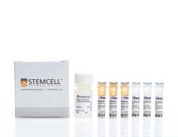 EasySep™ Human Whole Blood and Bone Marrow CD138 Positive Selection Kit II - STEMCELL Technologies Inc. - Life Sciences