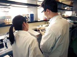 DILI Assay - Thermo Fisher Scientific - Life Sciences