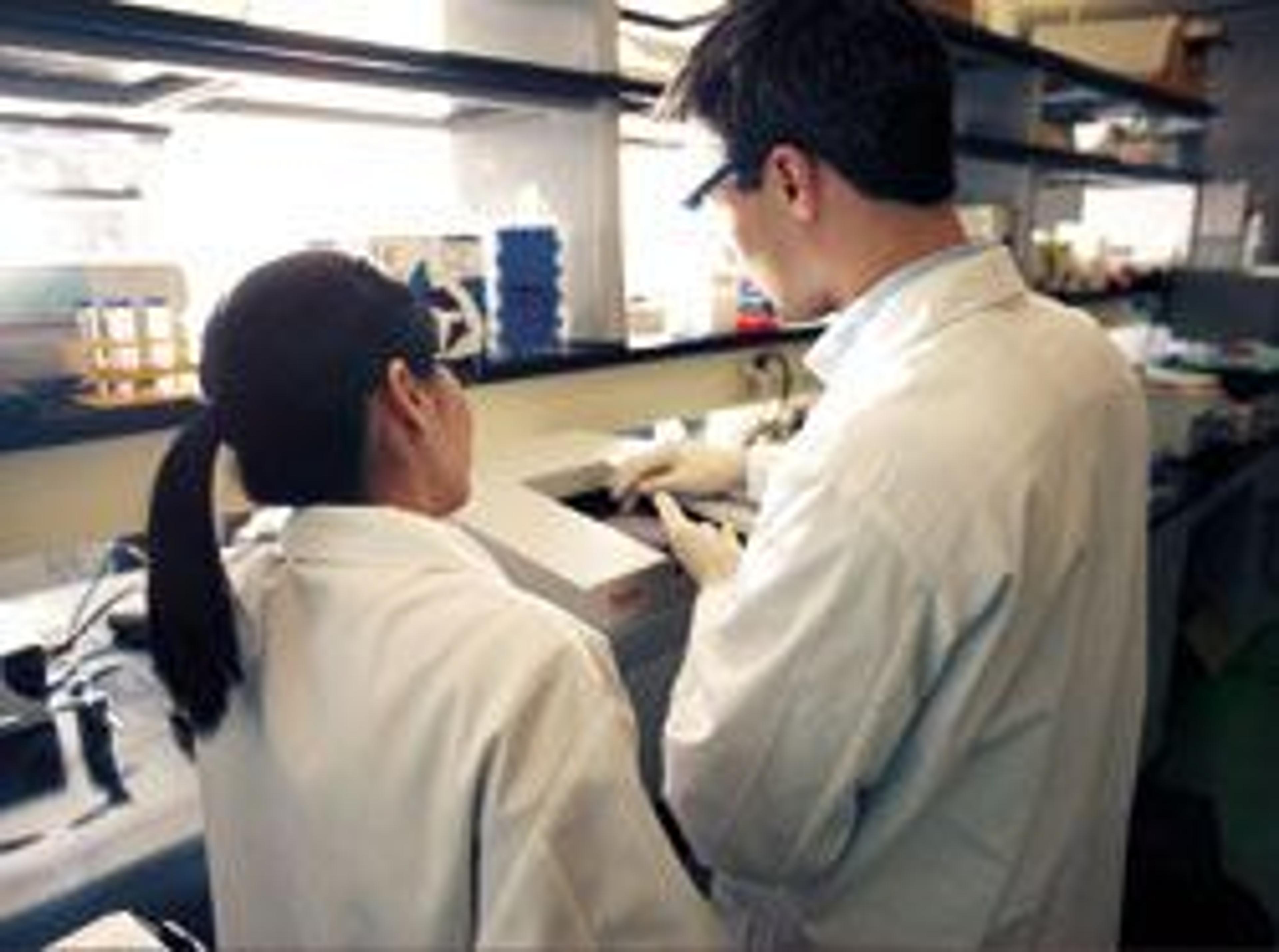 DILI Assay - Thermo Fisher Scientific - Life Sciences