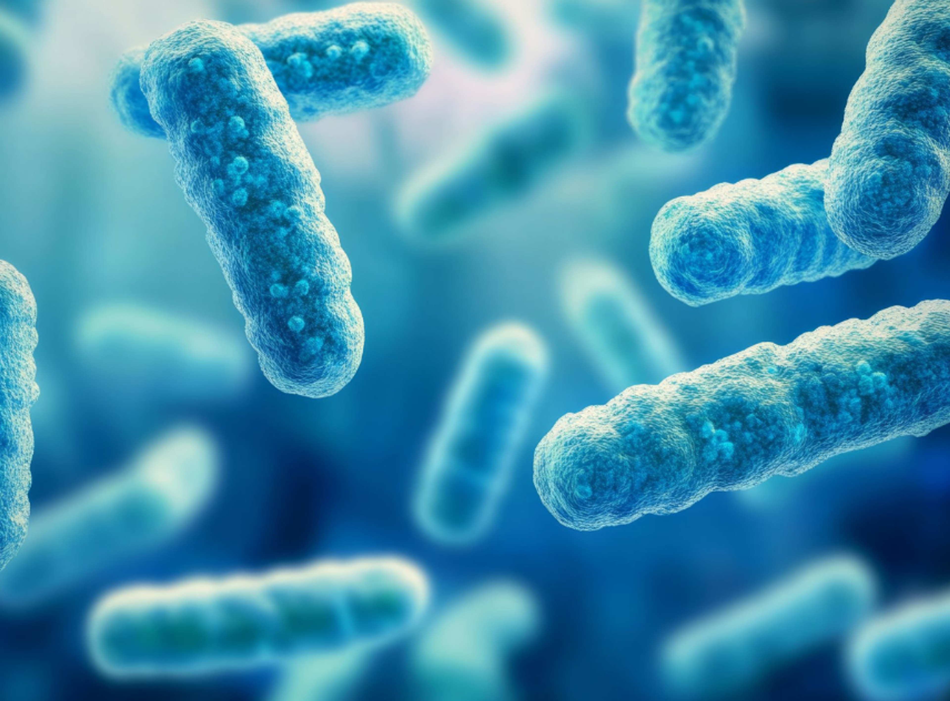 Image of blue bacteria