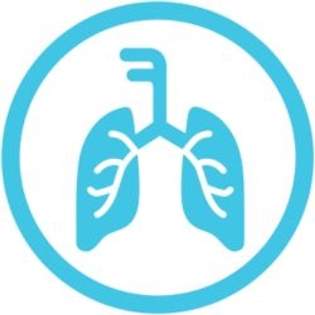 BIOFIRE® SPOTFIRE® Respiratory (R) Panel Mini - bioMérieux USA - Clinical Diagnostics