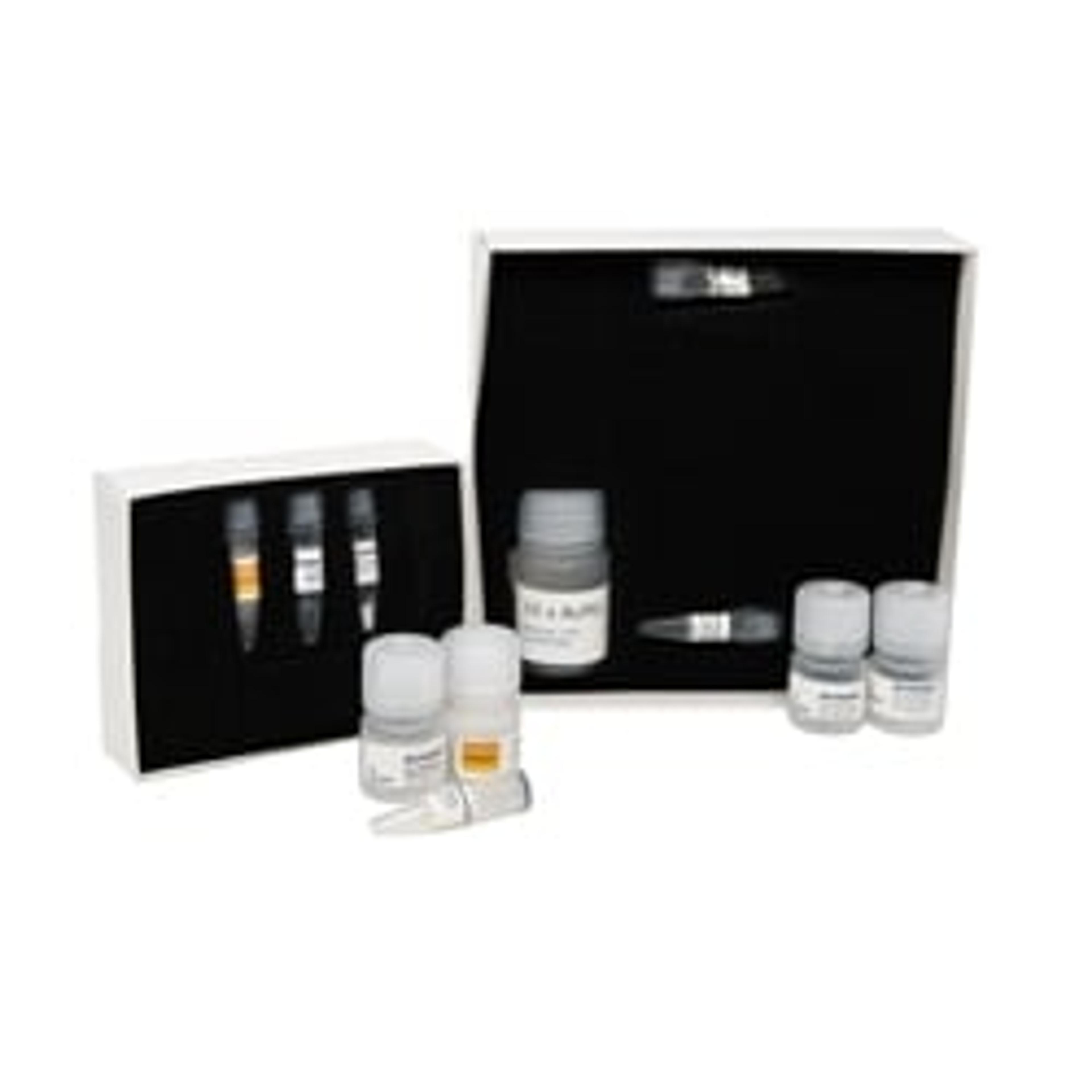 forensicGEM Sperm - MicroGEM - Forensics