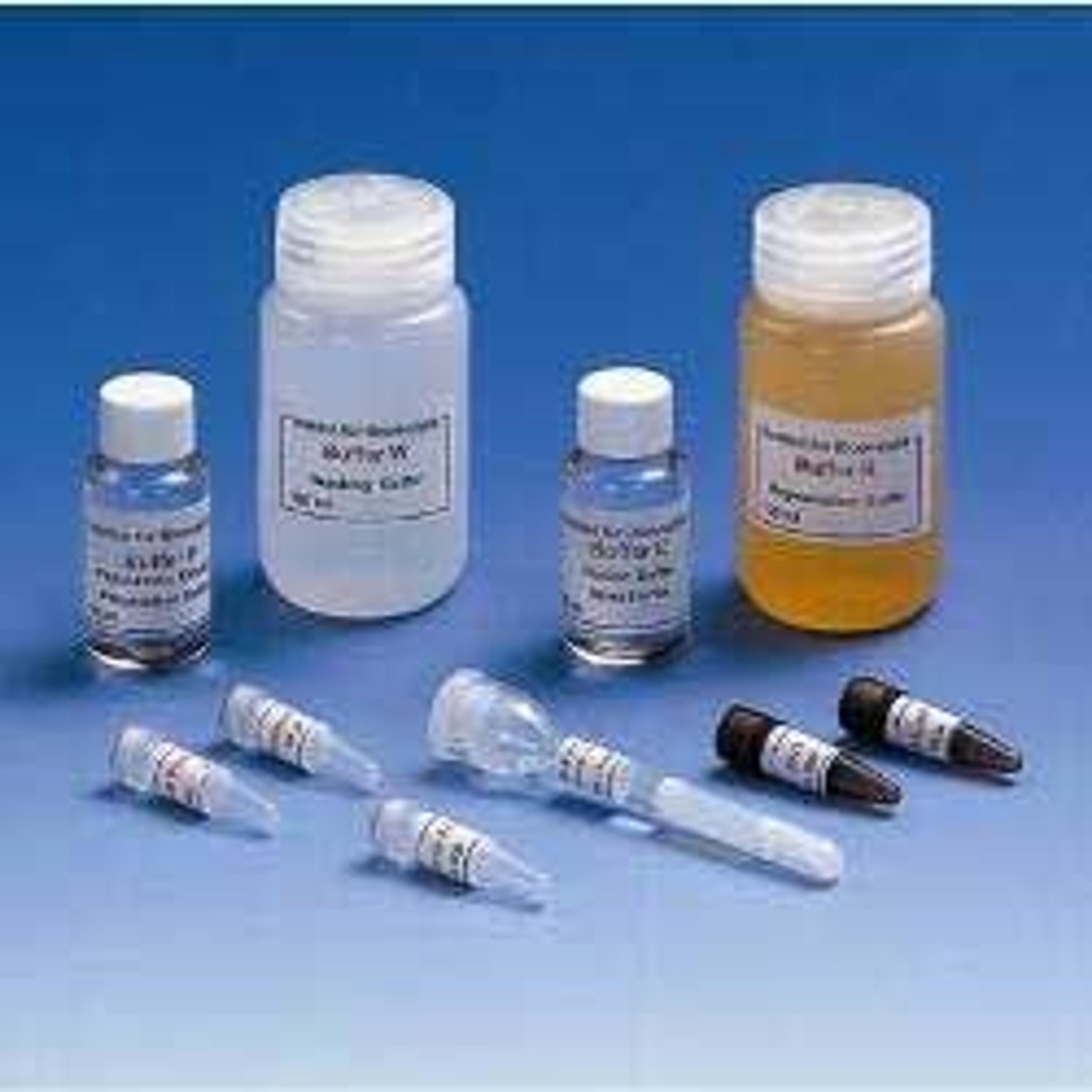 Strep-tag® Starter Kit - IBA BioTAGnology - Life Sciences