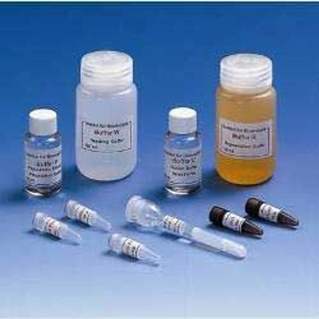 Strep-tag® Starter Kit - IBA BioTAGnology - Life Sciences