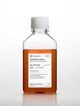 Corning® Fetal Bovine Serum, 500 mL, Regular,  South American Origin - Corning Life Sciences