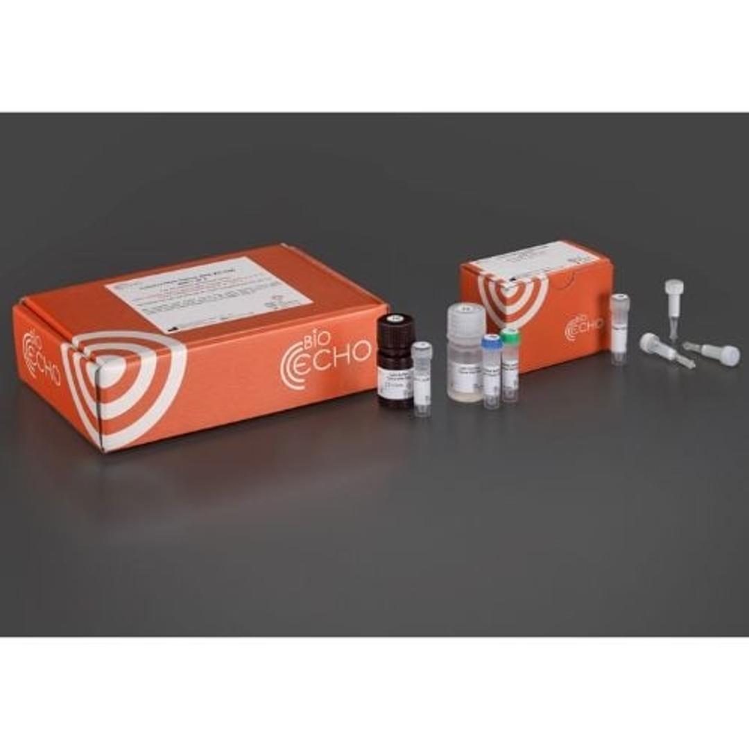 EchoLUTION Tissue RNA Kit - BioEcho Life Sciences GmbH - Life Sciences