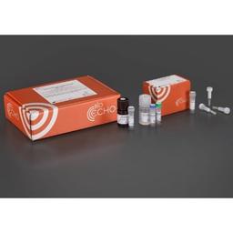 EchoLUTION Tissue RNA Kit - BioEcho Life Sciences GmbH - Life Sciences