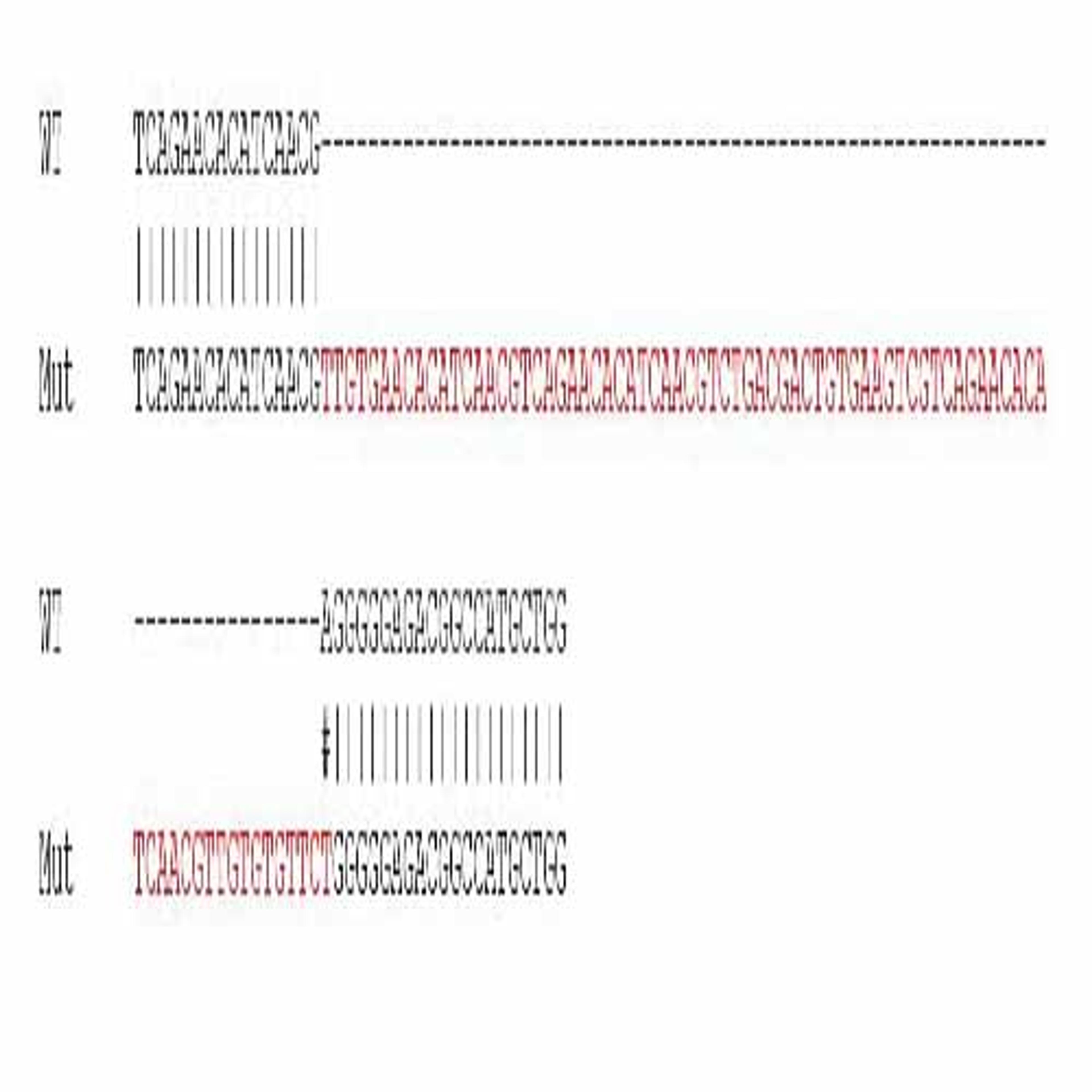 Human BSG (CD147) knockout A549 cell line - Abcam plc - Life Sciences