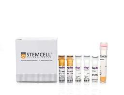 EasySep™ Mouse CD11b Positive Selection Kit II - STEMCELL Technologies Inc. - Life Sciences
