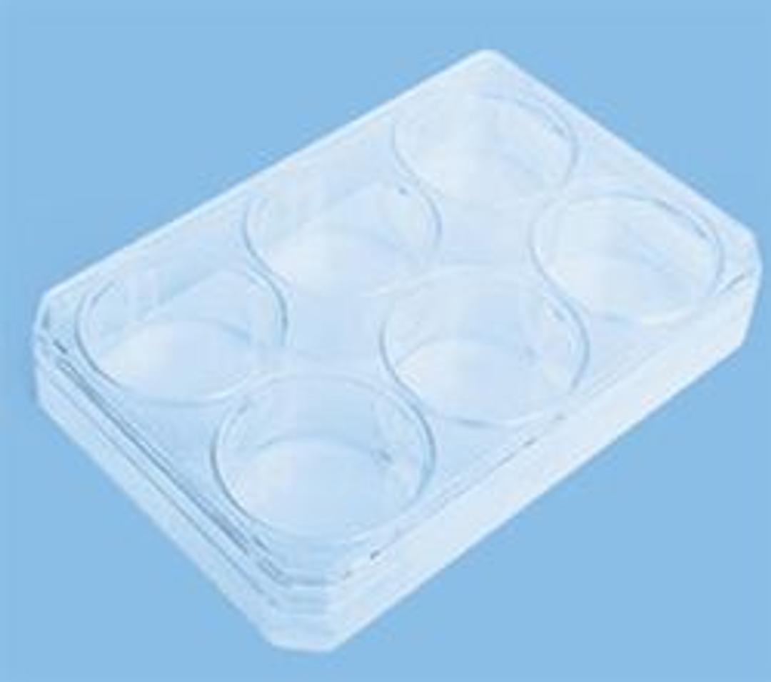 Nunc* Nunclon Vita MultiDish 6 - Thermo Fisher Scientific - Life Sciences