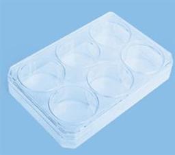 Nunc* Nunclon Vita MultiDish 6 - Thermo Fisher Scientific - Life Sciences