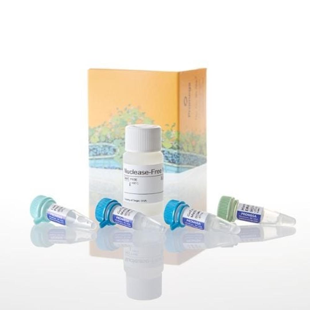 GoTaq® Long PCR Master Mix - Promega Corp. - Life Sciences