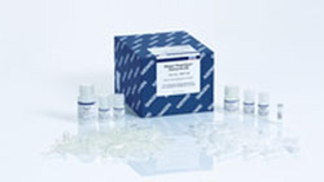 DNeasy PowerClean Cleanup Kit (50) - QIAGEN