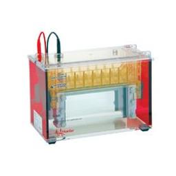 SE600 Wide-Mini Vertical Unit - Hoefer Inc. Europe - Life Sciences