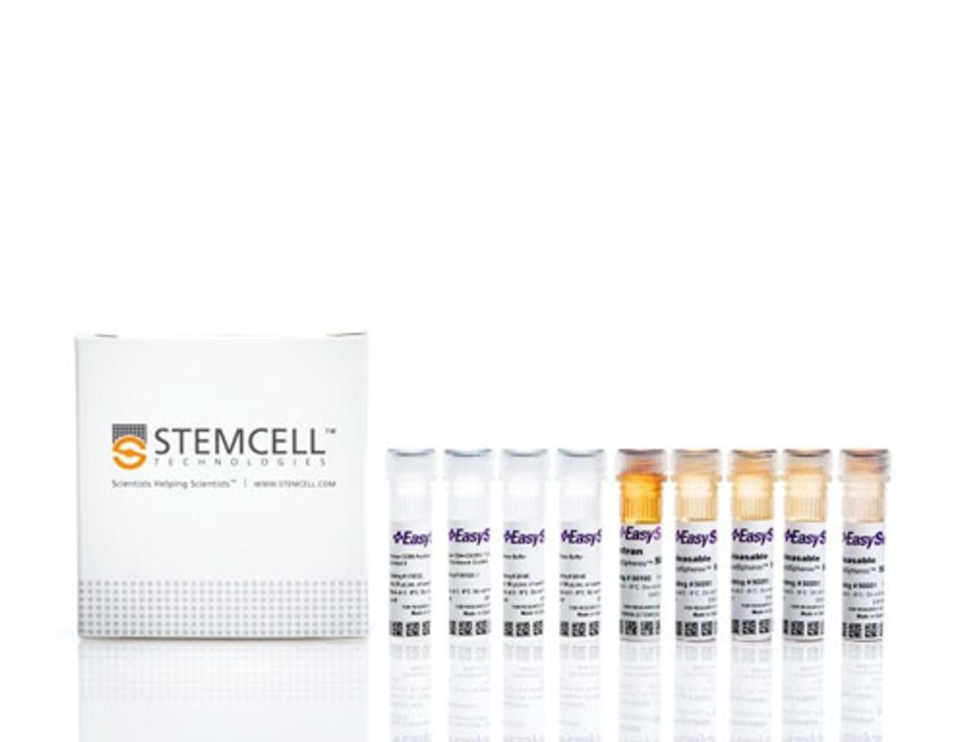 EasySep™ Human Th17 Cell Enrichment Kit II - STEMCELL Technologies Inc. - Life Sciences