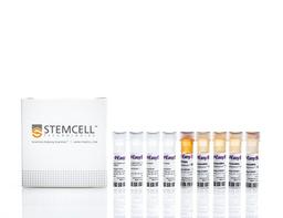 EasySep™ Human Th17 Cell Enrichment Kit II - STEMCELL Technologies Inc. - Life Sciences