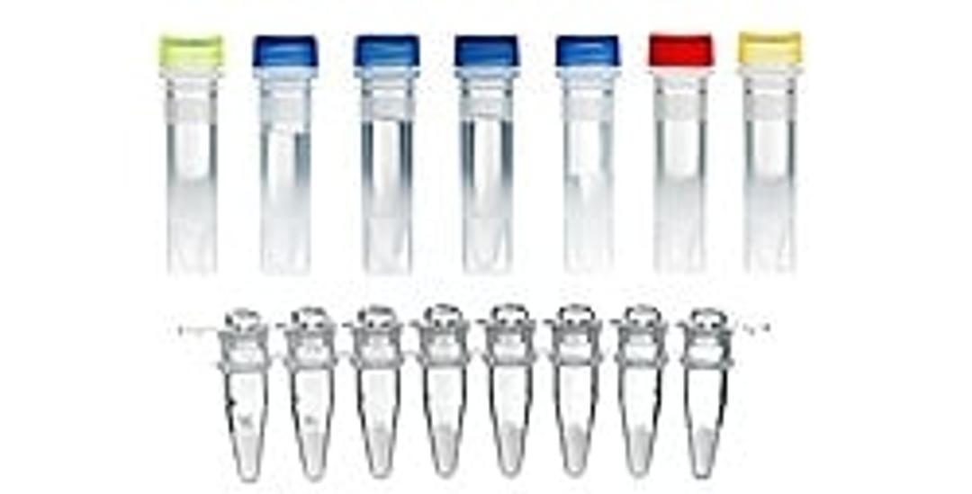 TwistAmp® nfo - TwistDx - Life Sciences