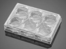 Corning® BioCoat™ Matrigel® Invasion Chamber with 8.0 µm PET Membrane in four 6-well Plates, 6/Pack, 24/Case - Corning Life Sciences - Life Sciences