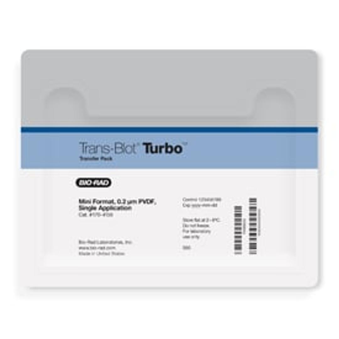 Trans-Blot® Turbo™ Mini PVDF Transfer Packs - Bio-Rad - Life Sciences