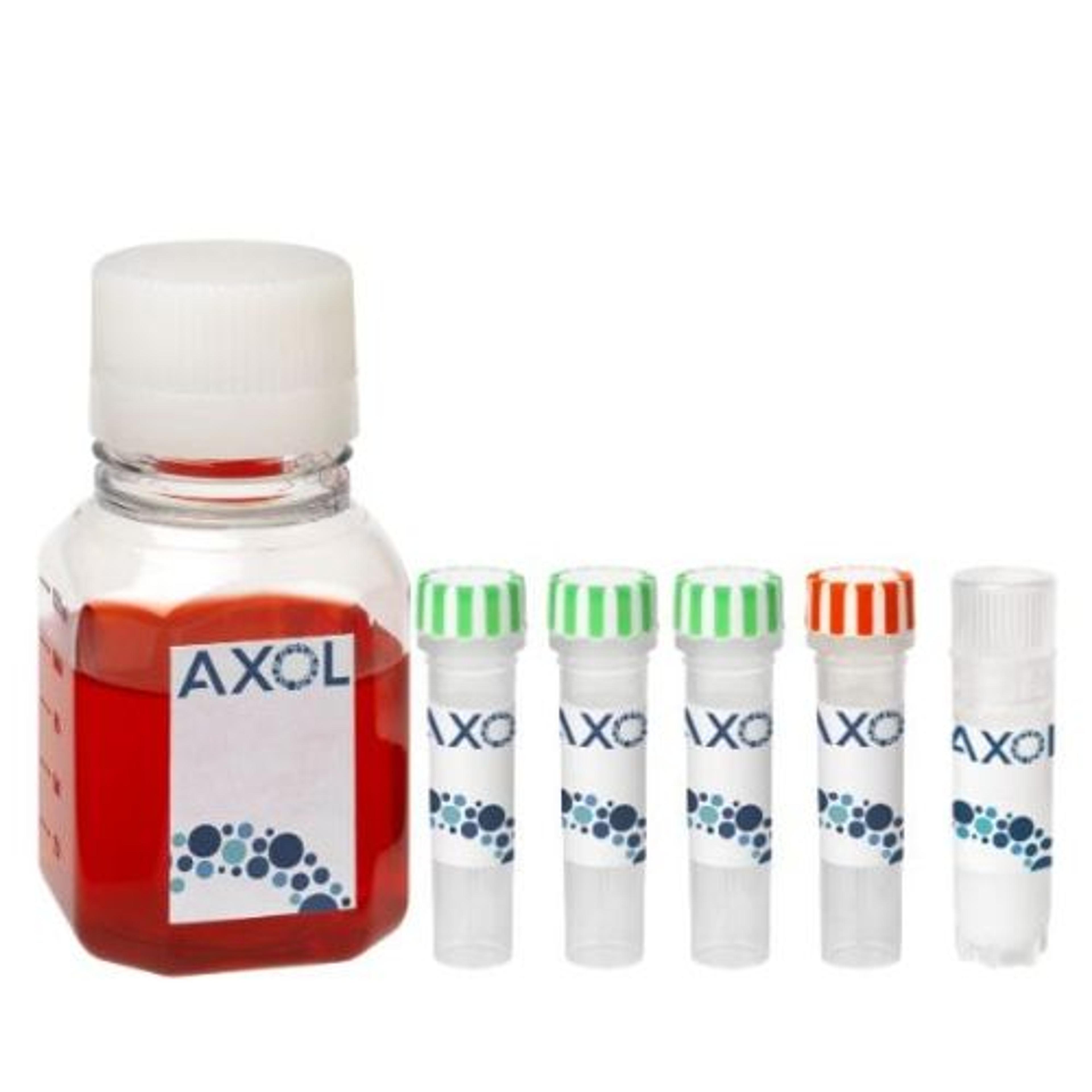 axoCells™ Human iPSC-Derived Microglia Cell, Media and Supplement kit, male donor, ≥1 million cells - Axol Bioscience - Life Sciences