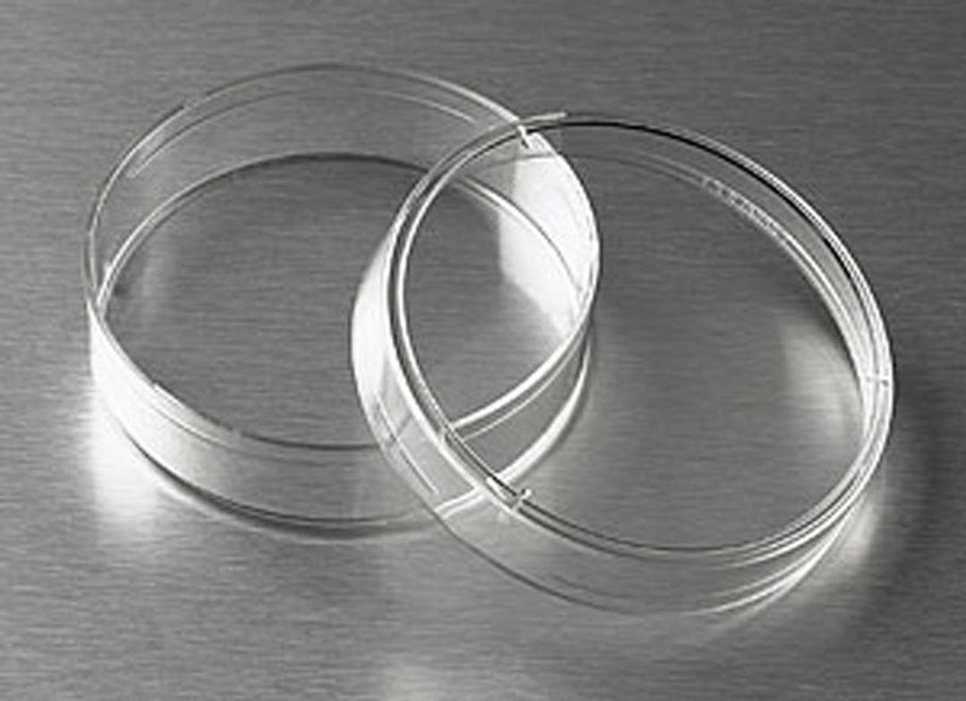 Corning® 60 mm TC-treated Culture Dish - Corning Life Sciences