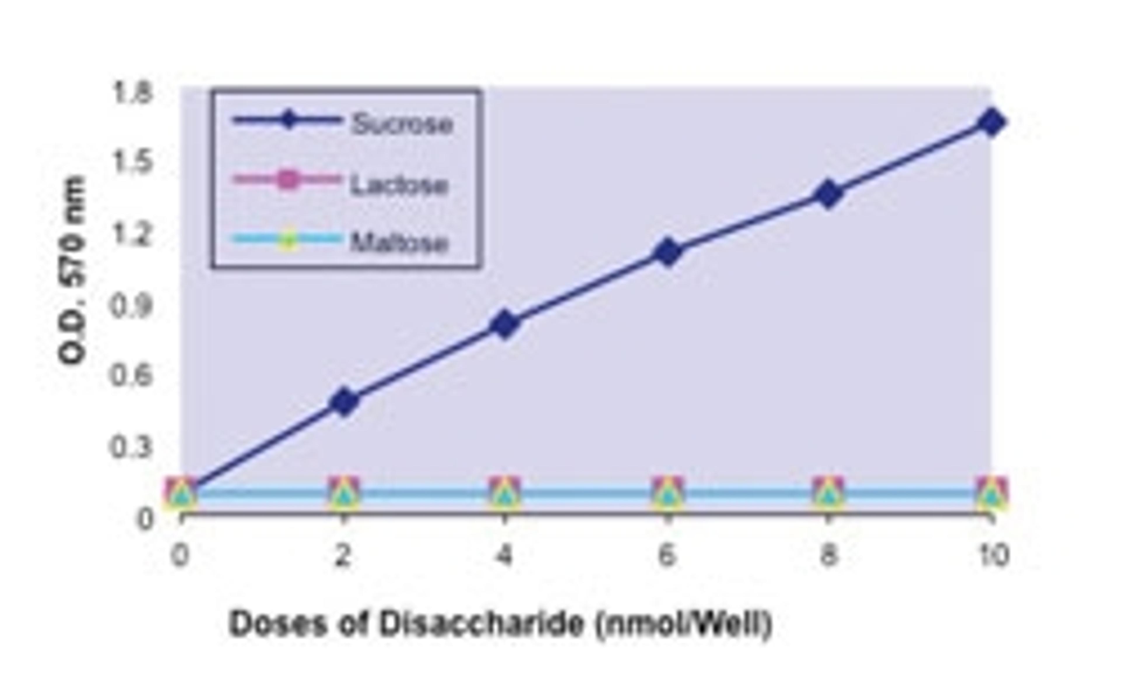 Glucose and Sucrose Assay Kit - Sigma-Aldrich Supelco - Life Sciences