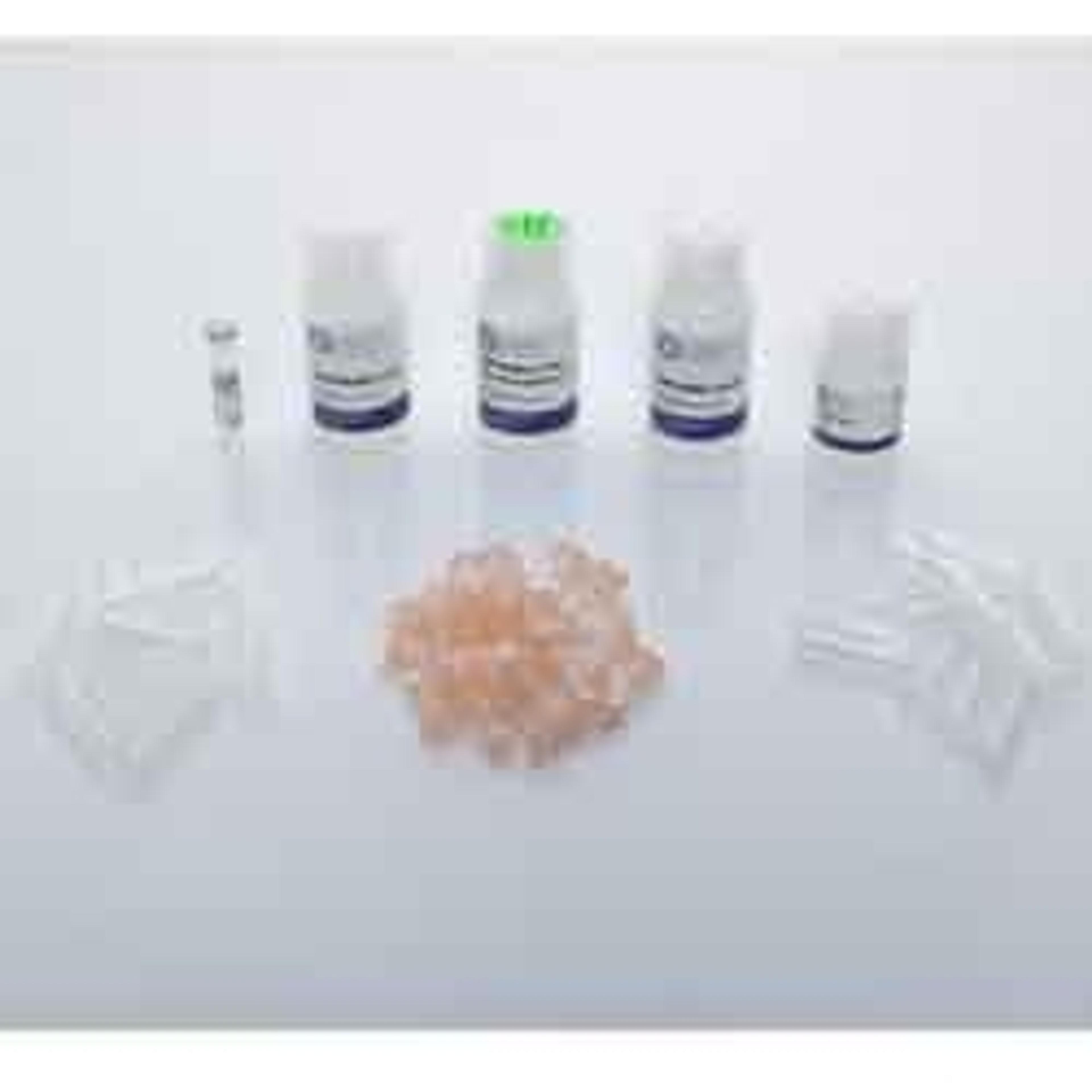 Bead Mill Bacteria RNA Kit - OMNI International Inc. - Life Sciences