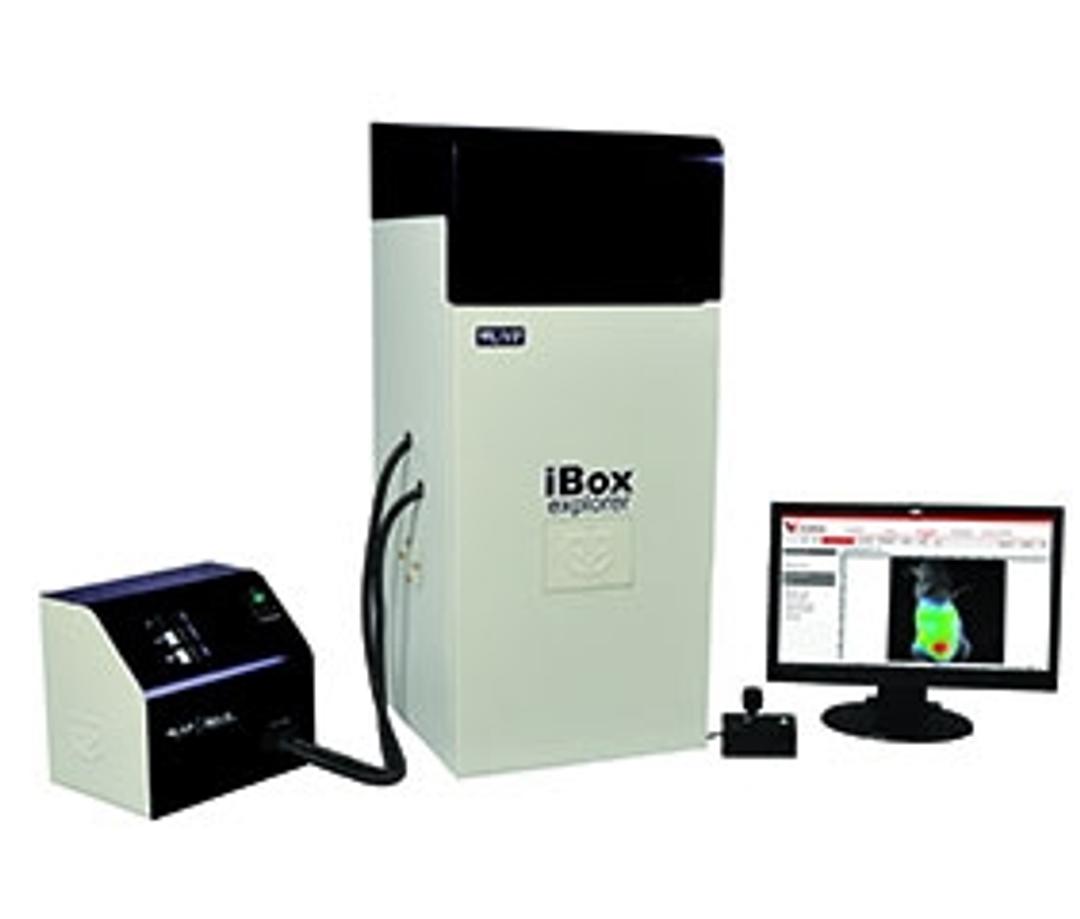 UVP iBox Explorer™ 2 Imaging Microscope - UVP, An Analytik Jena Company - Life Sciences