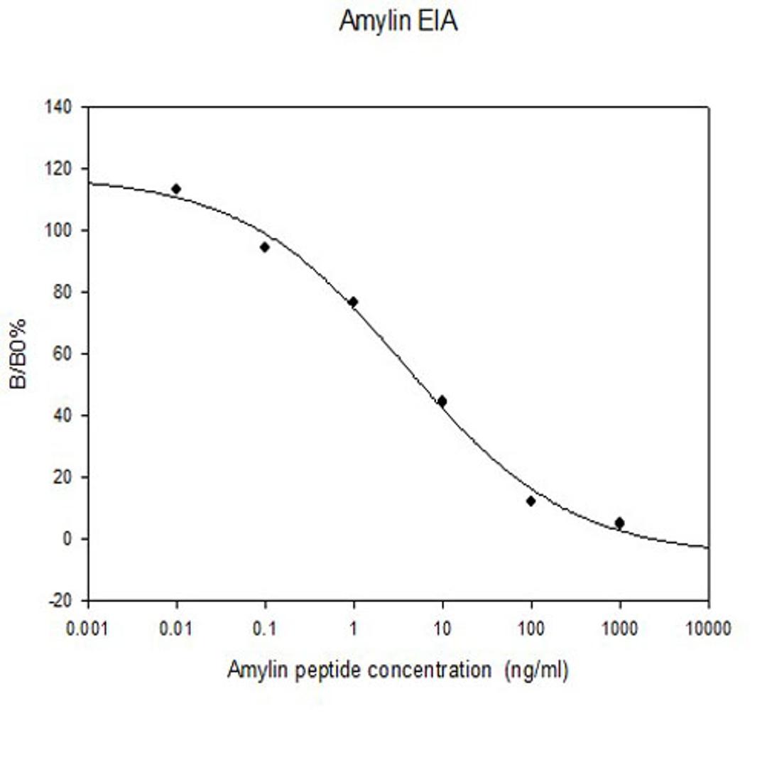 Human Amylin EIA - RayBiotech Inc. - Life Sciences