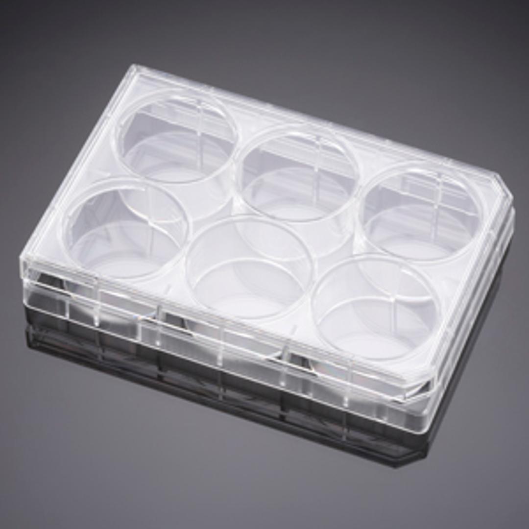 Falcon® 6-well TC-treated Polystyrene Permeable Support Companion Plate, with Lid, Sterile, 1/Pack, 50/Case - Corning Life Sciences - Life Sciences