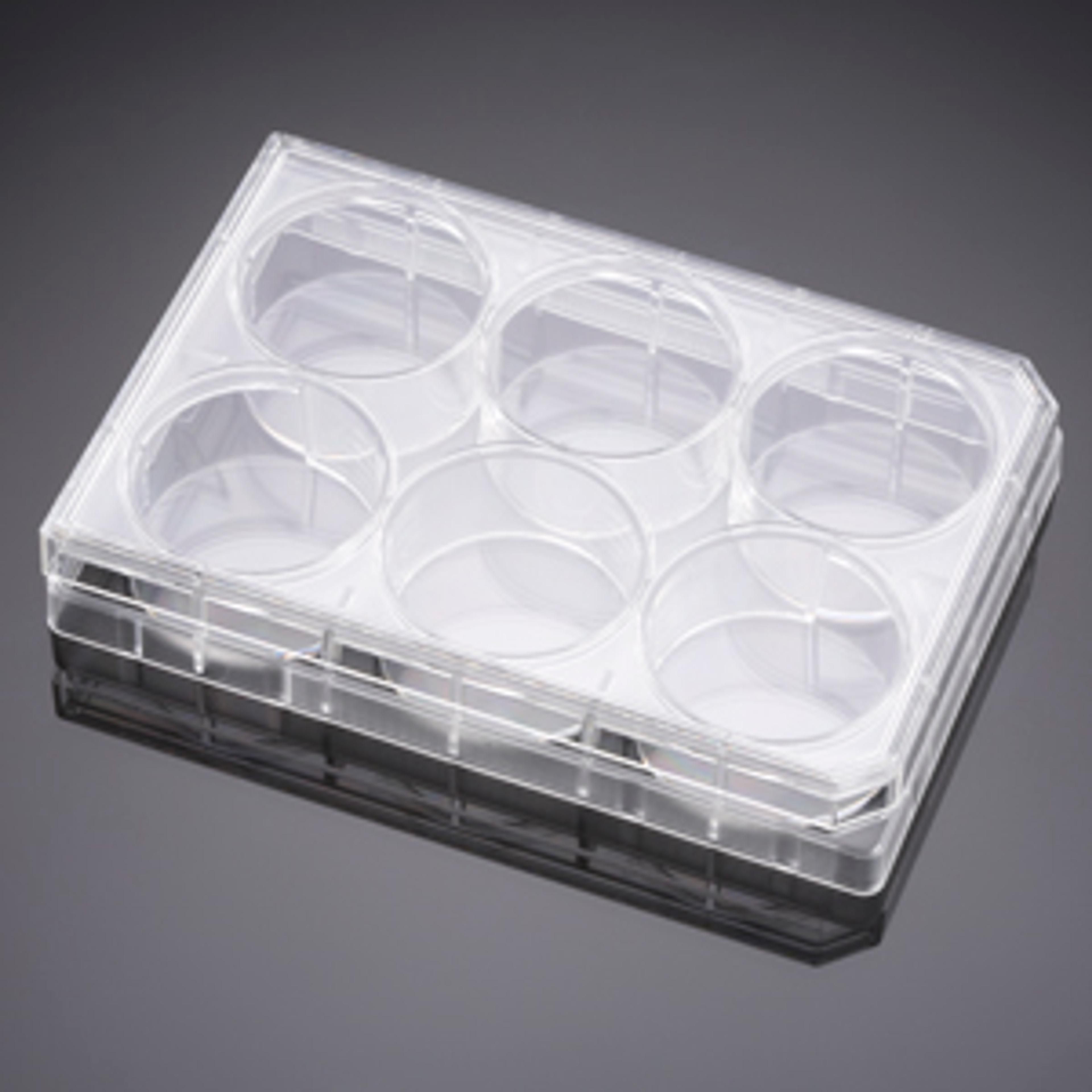 Falcon® 6-well TC-treated Polystyrene Permeable Support Companion Plate, with Lid, Sterile, 1/Pack, 50/Case - Corning Life Sciences - Life Sciences