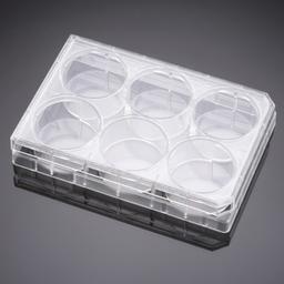 Falcon® 6-well TC-treated Polystyrene Permeable Support Companion Plate, with Lid, Sterile, 1/Pack, 50/Case - Corning Life Sciences - Life Sciences