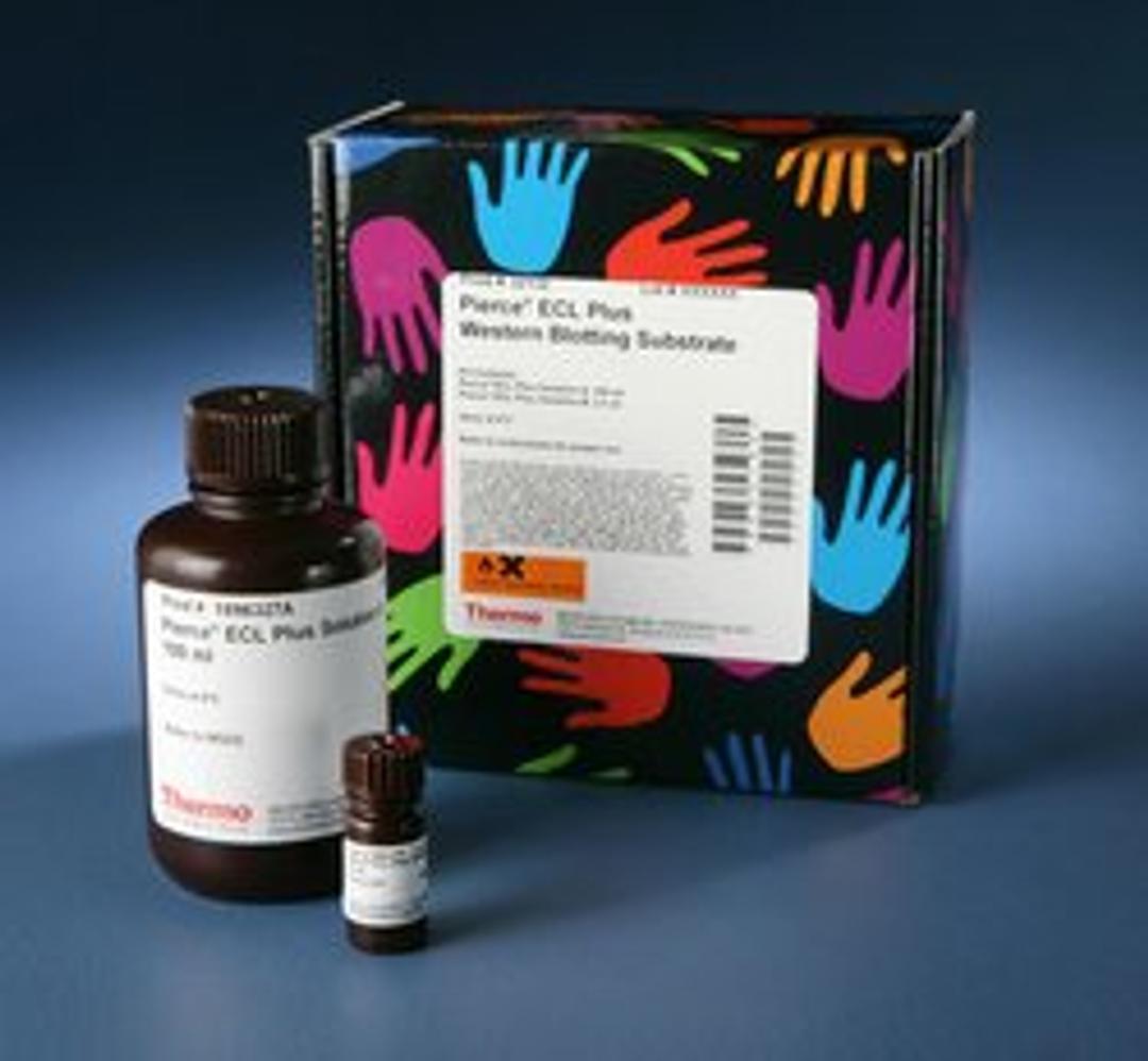 Thermo Scientific™ Pierce™ ECL Plus Western Blotting Substrate - Thermo Fisher Scientific - Life Sciences