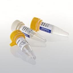 XhoI Restriction Enxyme - Promega Corp. - Life Sciences